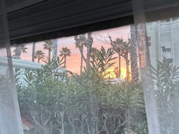 248-16-01-2026 IMG_3453